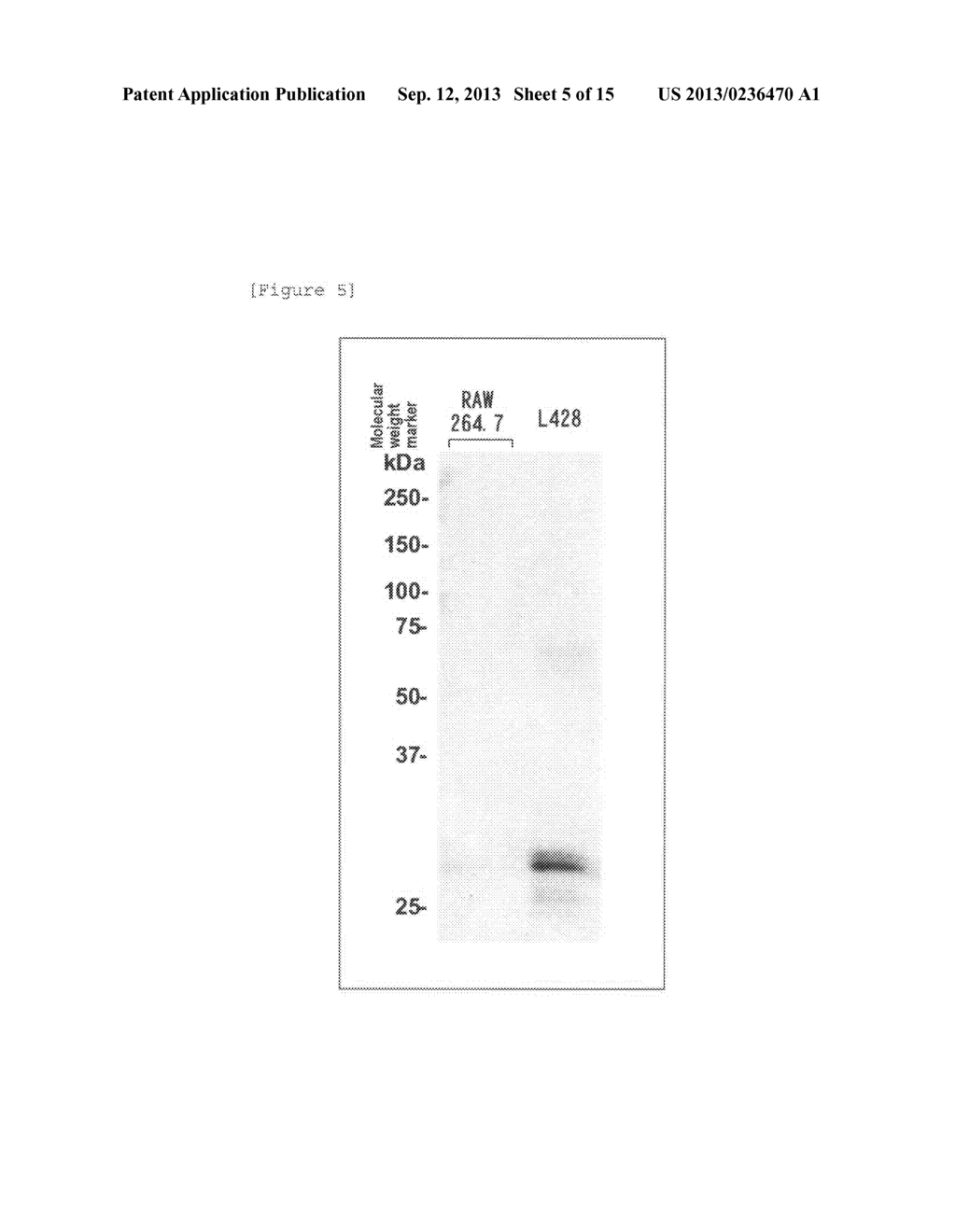 THERAPEUTIC AGENT FOR MALIGNANT TUMORS EXPRESSING MHC CLASS II - diagram, schematic, and image 06