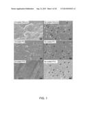 Antipathogenic Surfaces Having Selenium Nanoclusters diagram and image