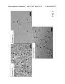 Antipathogenic Surfaces Having Selenium Nanoclusters diagram and image