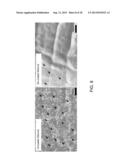 Antipathogenic Surfaces Having Selenium Nanoclusters diagram and image