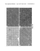 Antipathogenic Surfaces Having Selenium Nanoclusters diagram and image