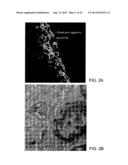 Vaccine Nanotechnology diagram and image