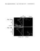 Vaccine Nanotechnology diagram and image