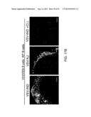 Vaccine Nanotechnology diagram and image