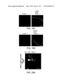 Vaccine Nanotechnology diagram and image