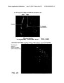 Vaccine Nanotechnology diagram and image