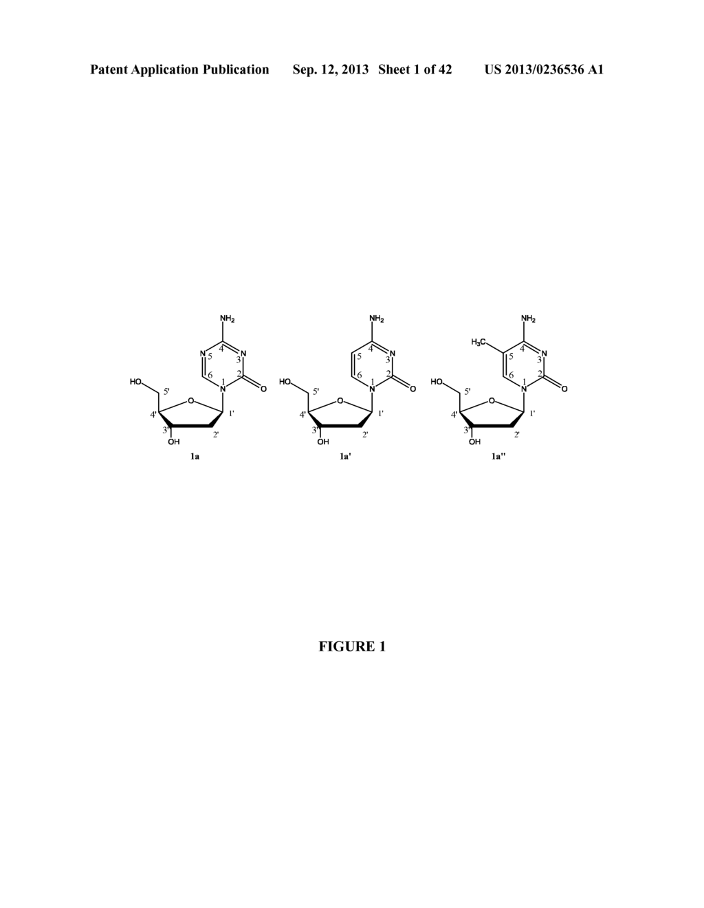 Oligonucleotide Analogues Incorporating 5-Aza-Cytosine Therein - diagram, schematic, and image 02