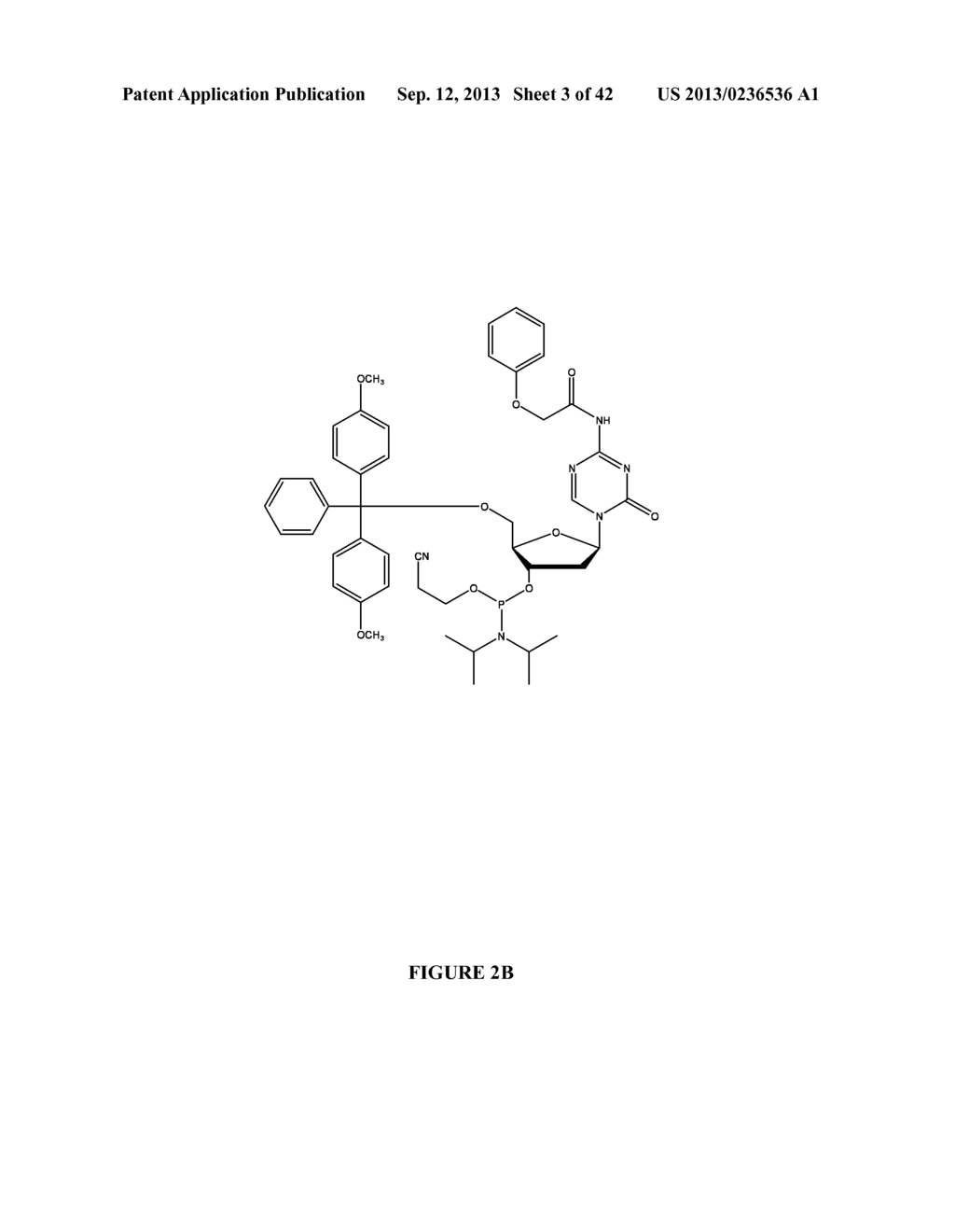 Oligonucleotide Analogues Incorporating 5-Aza-Cytosine Therein - diagram, schematic, and image 04