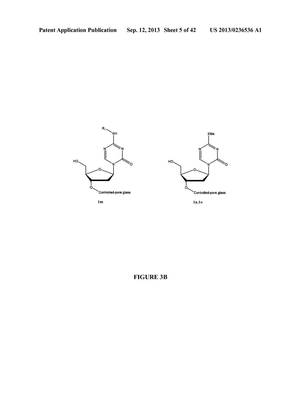 Oligonucleotide Analogues Incorporating 5-Aza-Cytosine Therein - diagram, schematic, and image 06