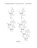 Oligonucleotide Analogues Incorporating 5-Aza-Cytosine Therein diagram and image