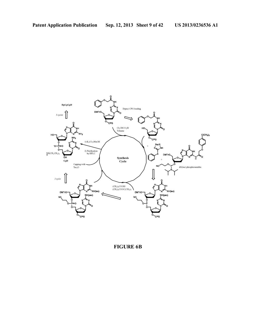 Oligonucleotide Analogues Incorporating 5-Aza-Cytosine Therein - diagram, schematic, and image 10