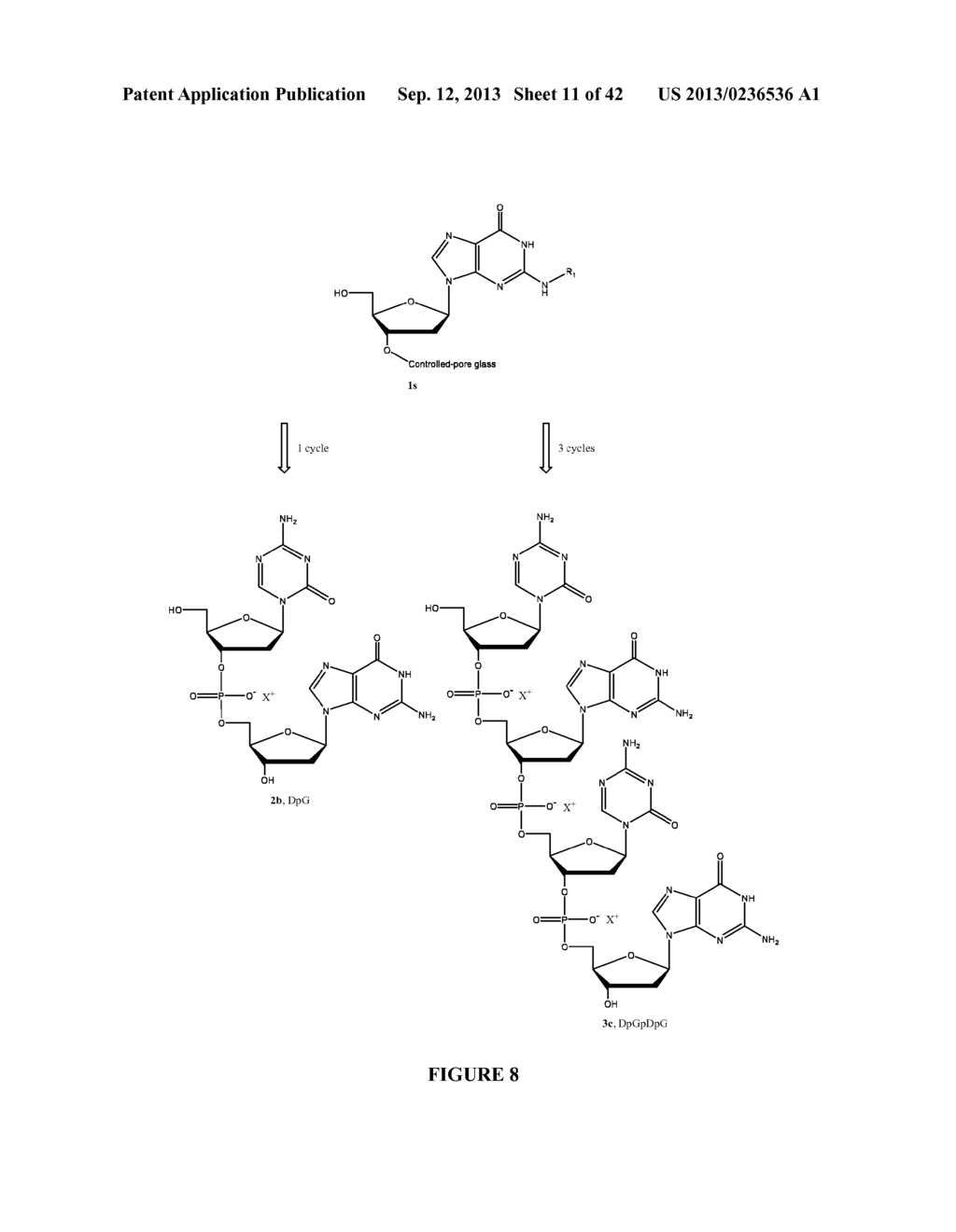 Oligonucleotide Analogues Incorporating 5-Aza-Cytosine Therein - diagram, schematic, and image 12