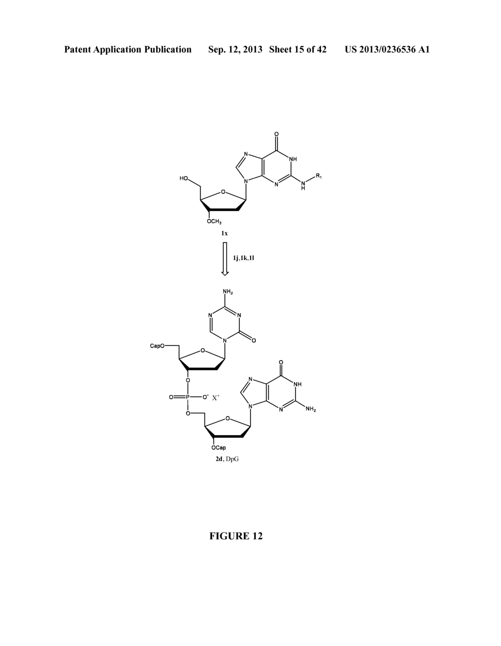 Oligonucleotide Analogues Incorporating 5-Aza-Cytosine Therein - diagram, schematic, and image 16