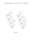 Oligonucleotide Analogues Incorporating 5-Aza-Cytosine Therein diagram and image