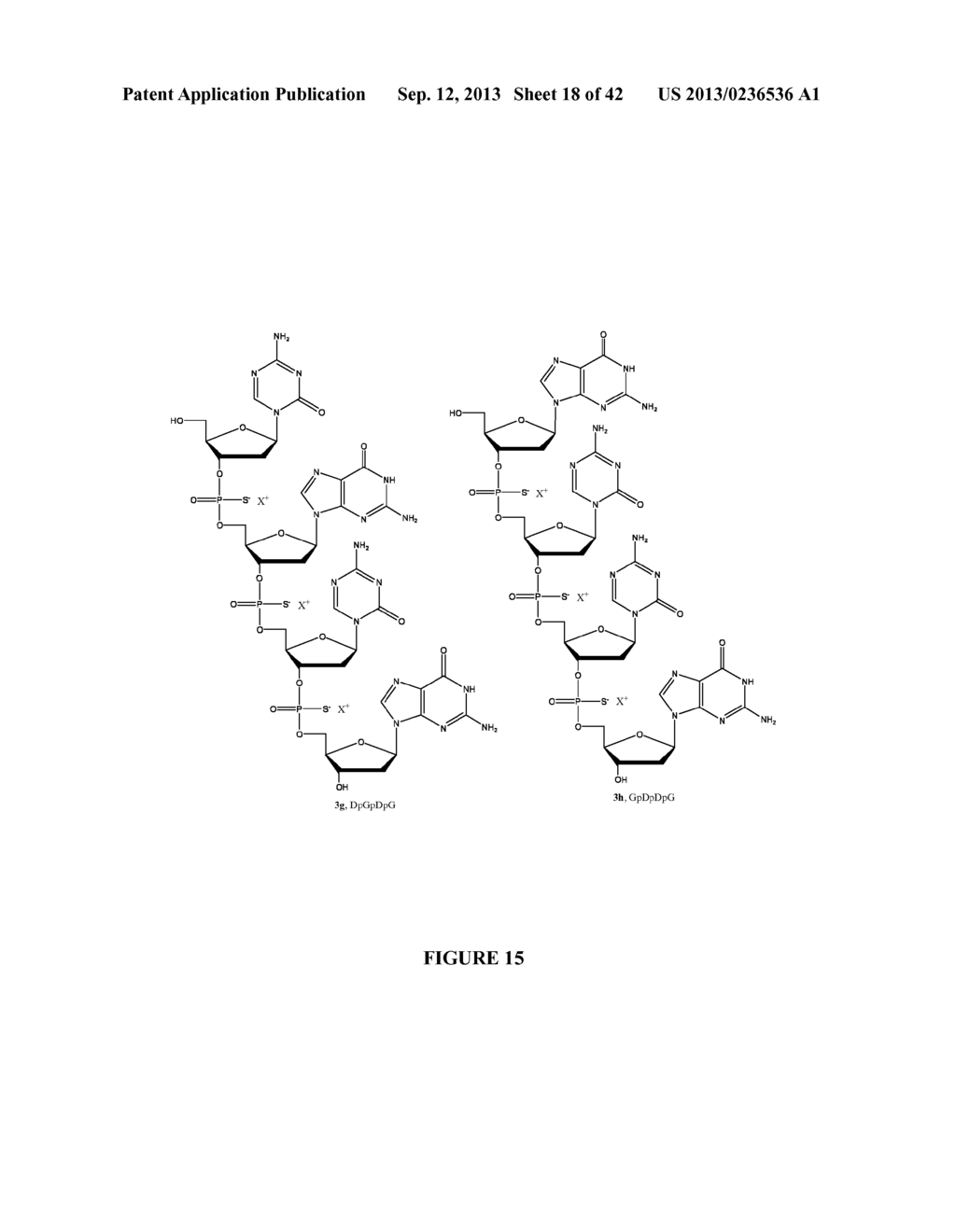 Oligonucleotide Analogues Incorporating 5-Aza-Cytosine Therein - diagram, schematic, and image 19