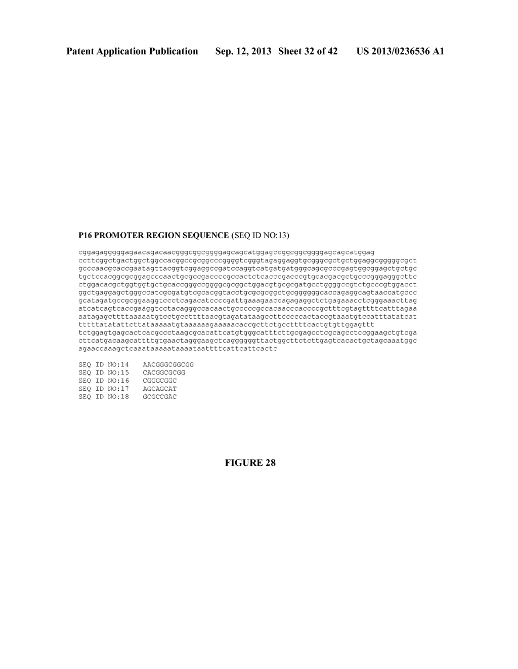 Oligonucleotide Analogues Incorporating 5-Aza-Cytosine Therein - diagram, schematic, and image 33