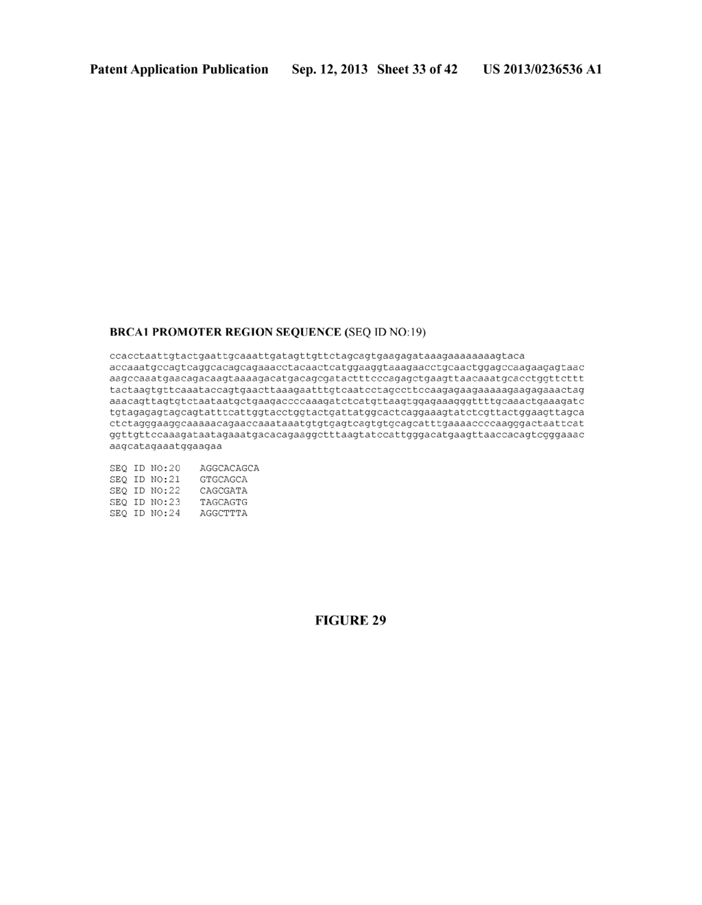 Oligonucleotide Analogues Incorporating 5-Aza-Cytosine Therein - diagram, schematic, and image 34