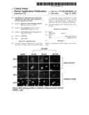 METHODS OF AMELIORATING OXIDATIVE STRESS BY INCREASING THE EFFICIENCY OF     GPX AND SOD ACTIVITY diagram and image