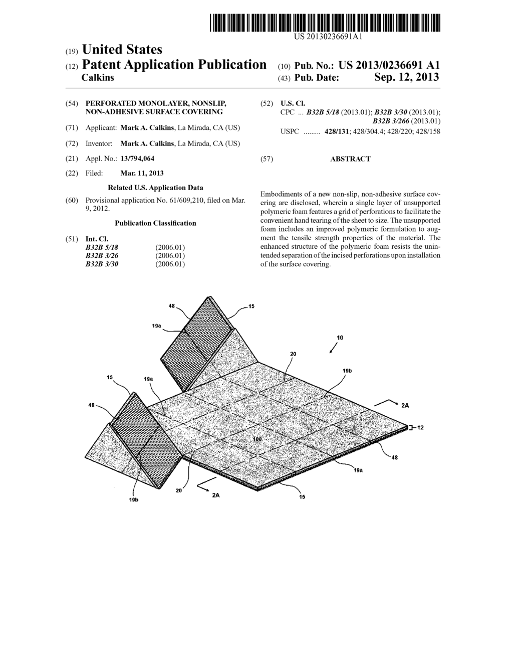 PERFORATED MONOLAYER, NONSLIP, NON-ADHESIVE SURFACE COVERING - diagram, schematic, and image 01