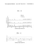 INORGANIC ION CONDUCTOR, METHOD OF FORMING THE SAME, AND FUEL CELL     INCLUDING THE INORGANIC ION CONDUCTOR diagram and image