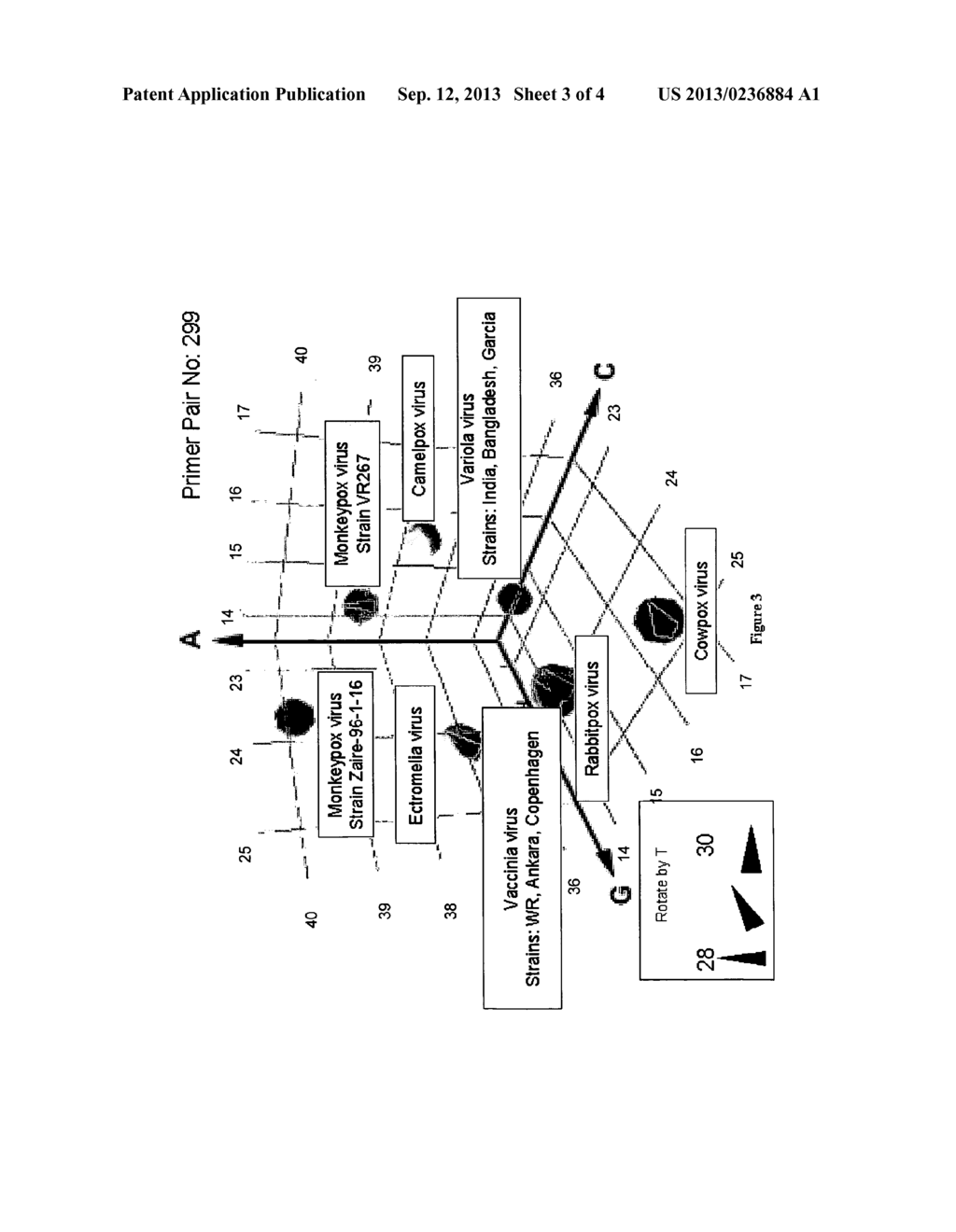 COMPOSITIONS FOR USE IN IDENTIFICATION OF ORTHOPOXVIRUSES - diagram, schematic, and image 04