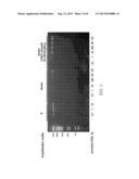 Phage Phi 29 DNA Polymerase Chimera diagram and image