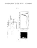 MEANS AND METHODS FOR THE DETECTION OF A PREDISPOSITION OF A FEMALE     SUBJECT TO RECURRENT PREGNANCY LOSS (RPL), PREECLAMPSIA (PE) AND/OR FETAL     GROWTH RESTRICTION (FGR) diagram and image