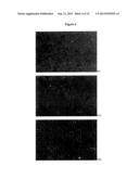 IMMORTALIZED AVIAN CELL LINES AND USE THEREOF diagram and image