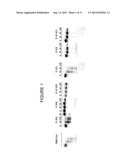 Modifications for Antisense Compounds diagram and image