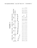 Modifications for Antisense Compounds diagram and image