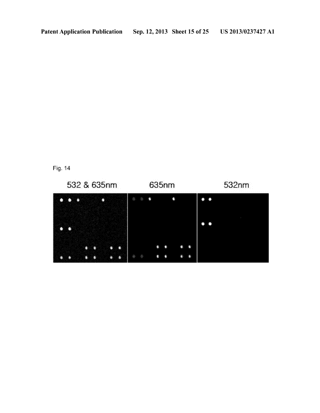 Y-SHAPED PROBE AND VARIANT THEREOF, AND DNA MICROARRAY, KIT AND GENETIC     ANALYSIS METHOD USING THE SAME - diagram, schematic, and image 16