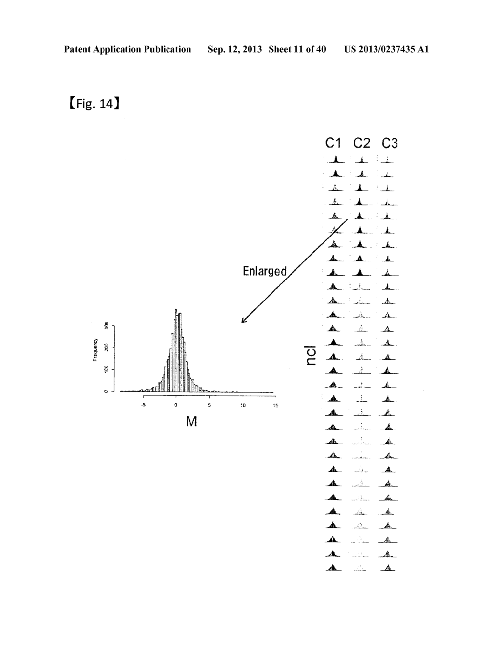 GENE CLUSTER, GENE SEARCHING/IDENTIFICATION METHOD, AND APPARATUS FOR THE     METHOD - diagram, schematic, and image 12