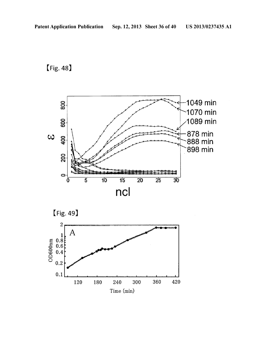 GENE CLUSTER, GENE SEARCHING/IDENTIFICATION METHOD, AND APPARATUS FOR THE     METHOD - diagram, schematic, and image 37