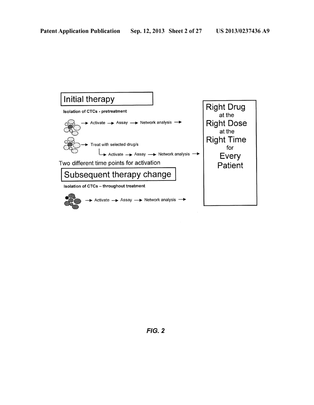 DRUG SELECTION FOR GASTRIC CANCER THERAPY USING ANTIBODY-BASED ARRAYS - diagram, schematic, and image 03