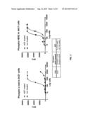 DRUG SELECTION FOR GASTRIC CANCER THERAPY USING ANTIBODY-BASED ARRAYS diagram and image