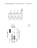 DRUG SELECTION FOR GASTRIC CANCER THERAPY USING ANTIBODY-BASED ARRAYS diagram and image