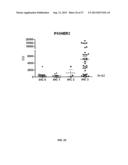 DRUG SELECTION FOR GASTRIC CANCER THERAPY USING ANTIBODY-BASED ARRAYS diagram and image