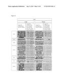 METHOD AND MEANS FOR IDENTIFICATION OF ANIMAL SPECIES diagram and image