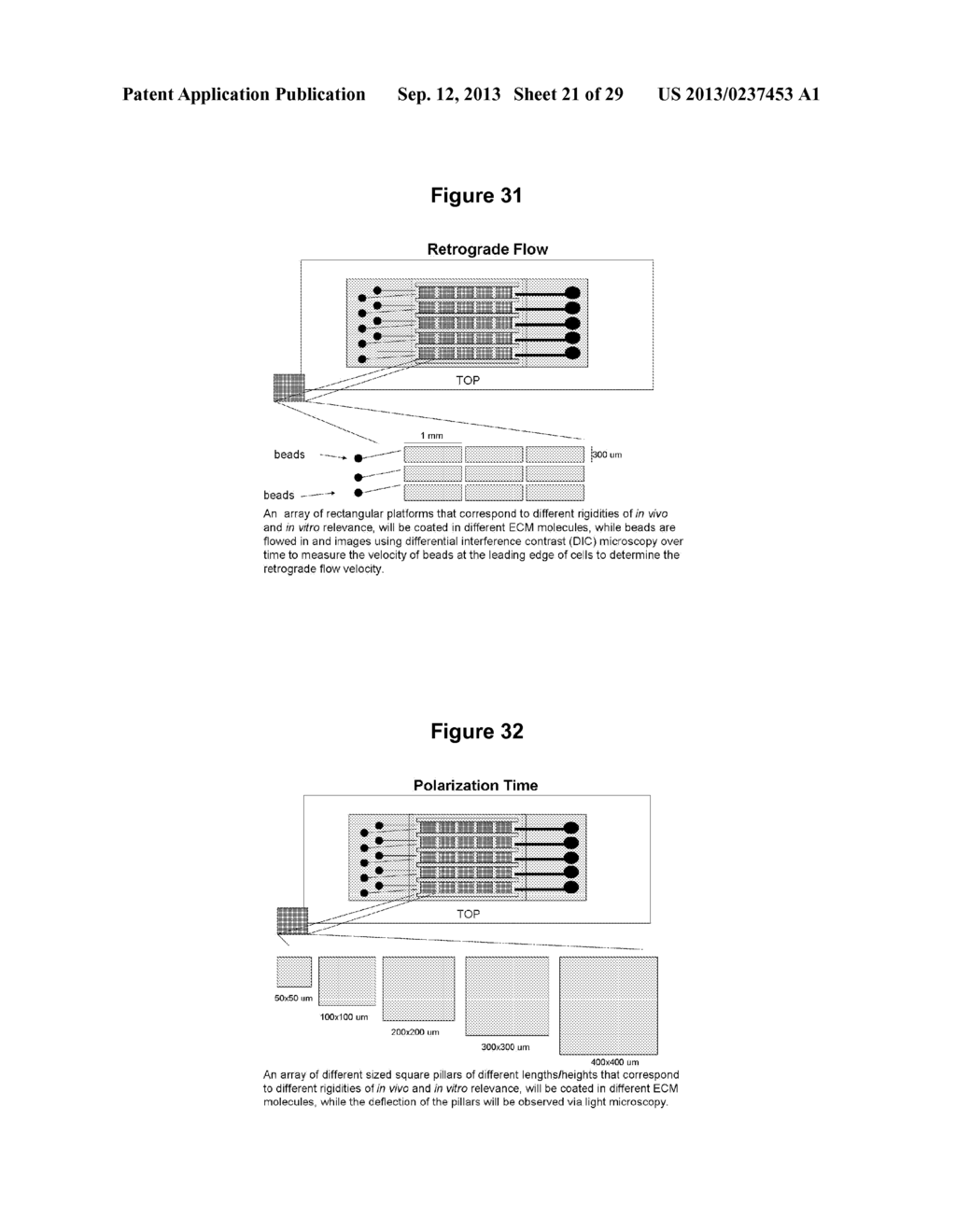 SYSTEMS, METHODS AND DEVICES FOR MEASURING GROWTH/ONCOGENIC AND     MIGRATION/METASTATIC POTENTIAL - diagram, schematic, and image 22