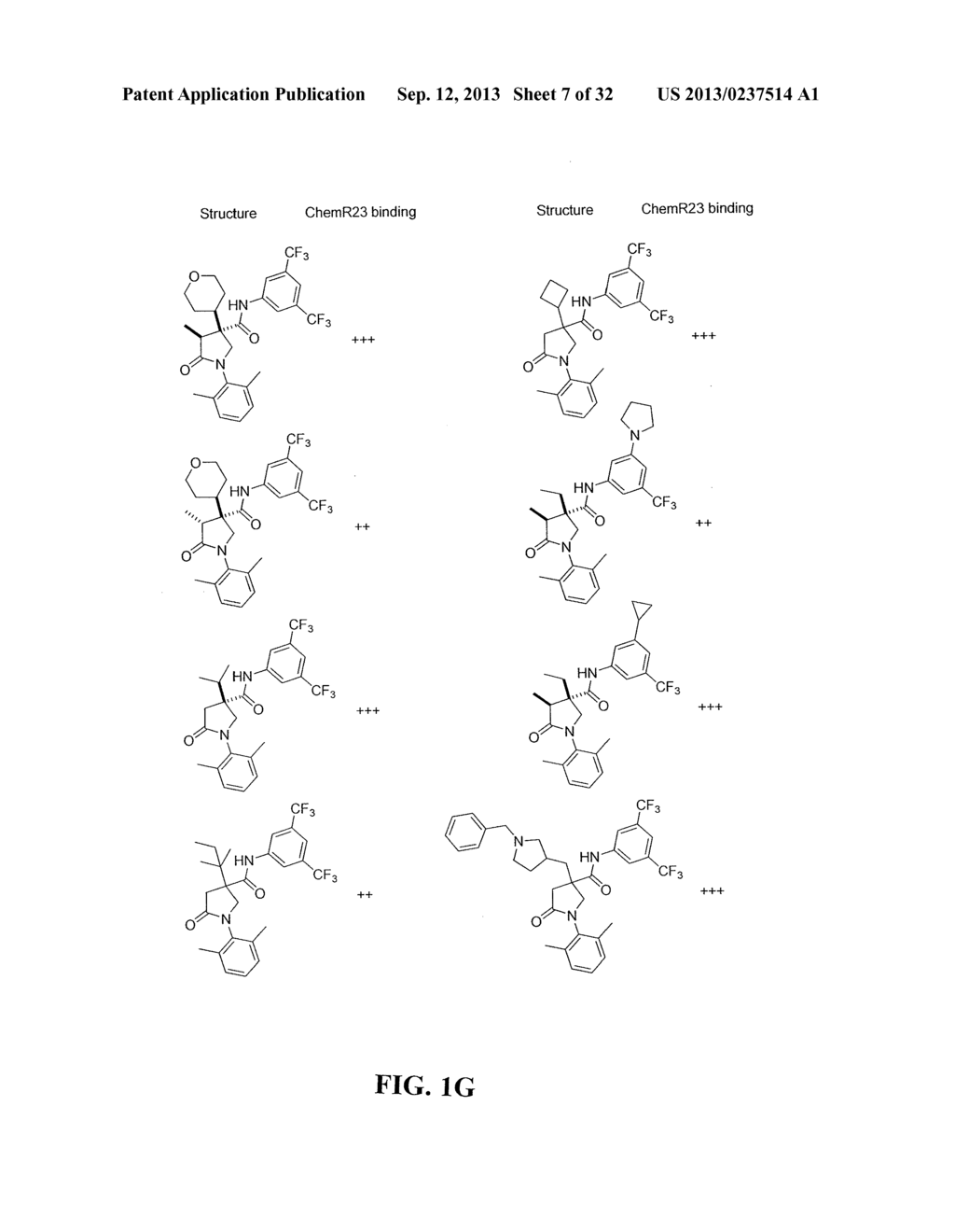 PYRROLIDINONE CARBOXAMIDE DERIVATIVES - diagram, schematic, and image 08