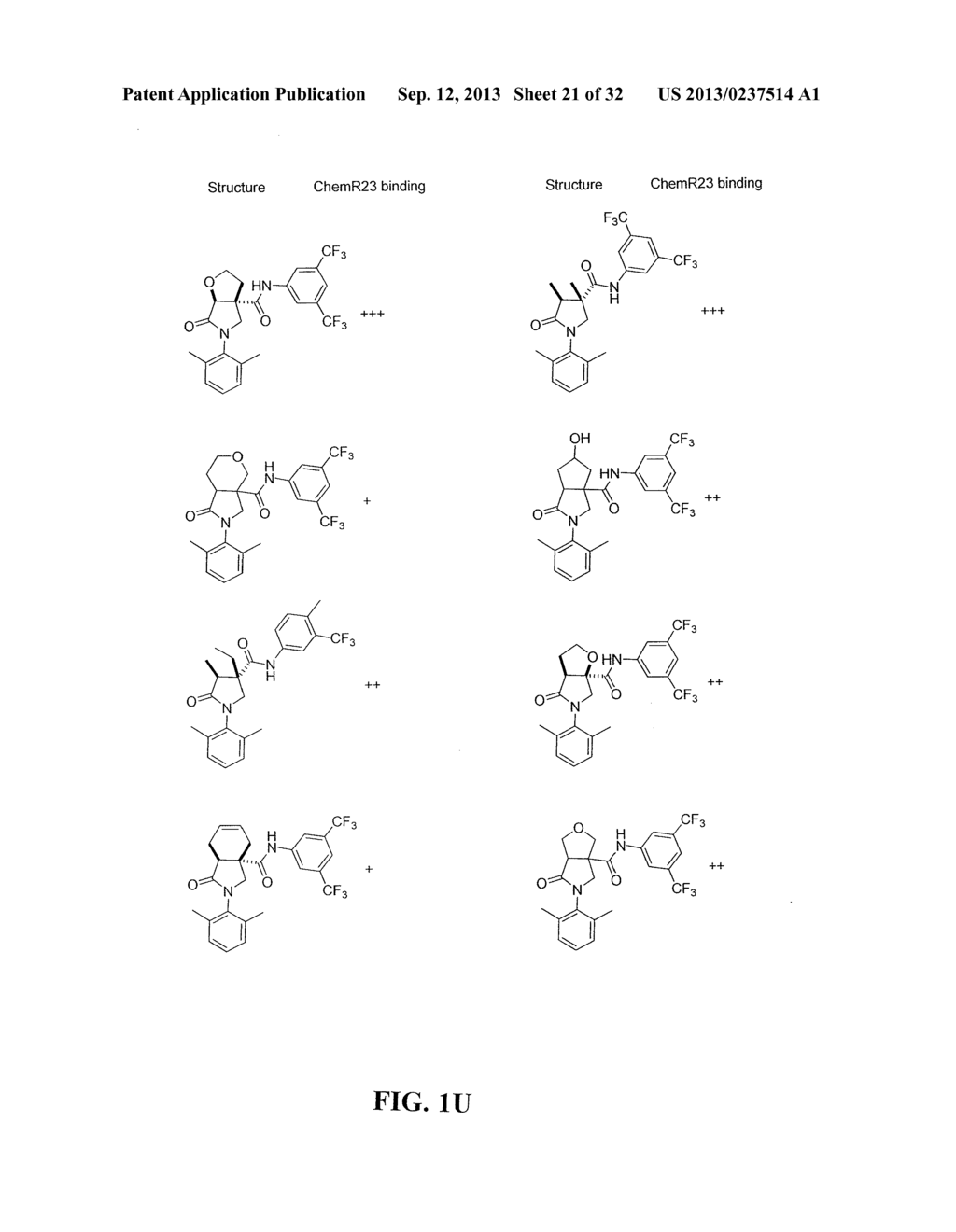 PYRROLIDINONE CARBOXAMIDE DERIVATIVES - diagram, schematic, and image 22