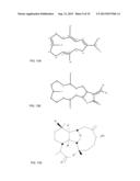 NEURONAL CIRCUIT-DEPENDENT NEUROPROTECTION BY INTERACTION BETWEEN     NICOTINIC RECEPTORS diagram and image