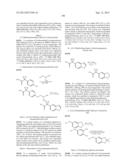 MODULATORS OF ATP-BINDING CASSETTE TRANSPORTERS diagram and image