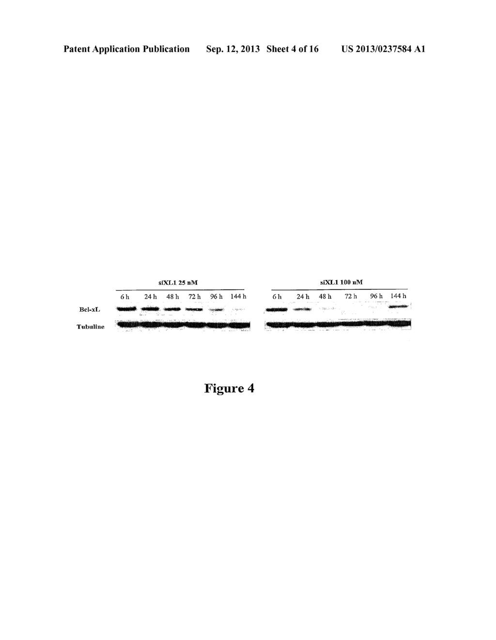 CANCER THERAPY USING Bcl-XL-SPECIFIC siNA - diagram, schematic, and image 05