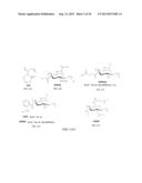 CELLULOSE DERIVATIVES FOR ENHANCING BIOAVAILABILITY OF FLAVONOIDS diagram and image