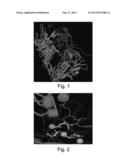 MULTIMODALITY AGENTS FOR TUMOR IMAGING AND THERAPY diagram and image