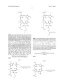 MULTIMODALITY AGENTS FOR TUMOR IMAGING AND THERAPY diagram and image