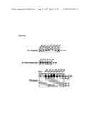 VASCULAR THERAPEUTICS diagram and image