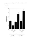 VASCULAR THERAPEUTICS diagram and image