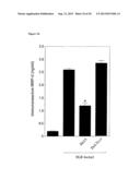 VASCULAR THERAPEUTICS diagram and image